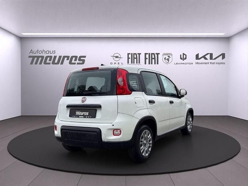Neu Fiat Panda 69 PS (50 kW) 2025 Weiß Limousine