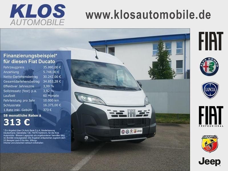 Weiß Neu 2025 Fiat Ducato Van | 35.990 € (Etwas zu teuer) - Bild 1/4