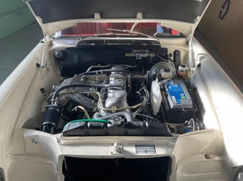 Gebraucht Mercedes 280 160 PS (117 kW) 1964 Weiß Coupé