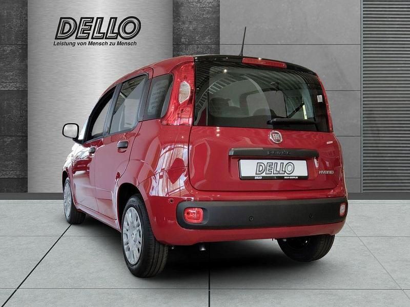 Neu Fiat Panda Icon 65 PS (47 kW) 2026 Rot Kleinwagen