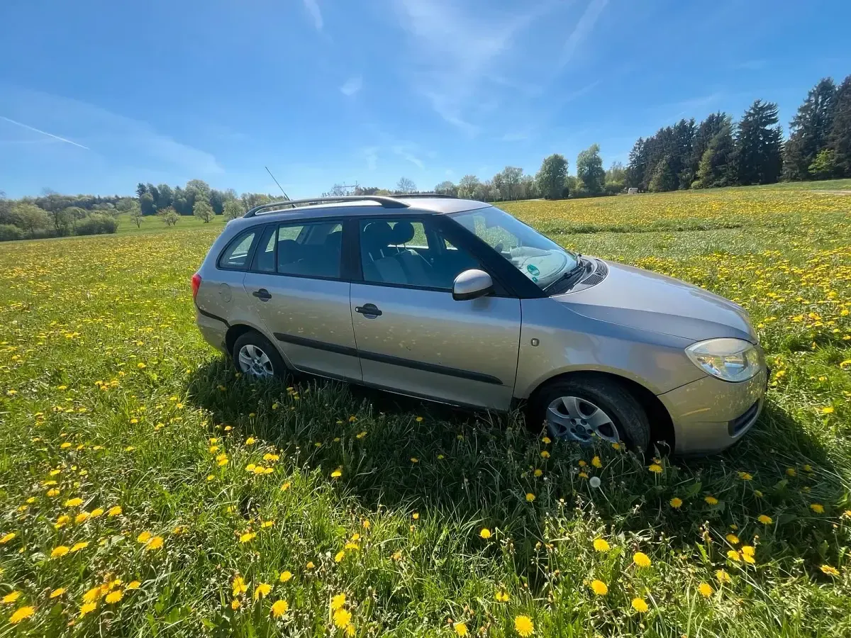 Gebraucht Skoda Fabia 70 PS (51 kW) 2009 Silber Kombi