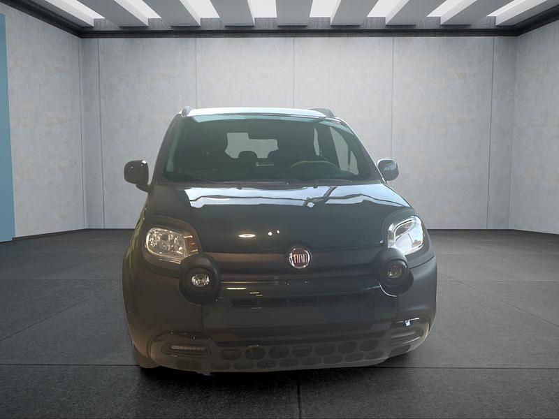 Neu Fiat Panda 69 PS (50 kW) 2025 Grün Kleinwagen