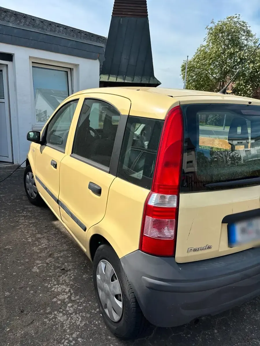 Usata Fiat Panda 2009 Utilitaria
