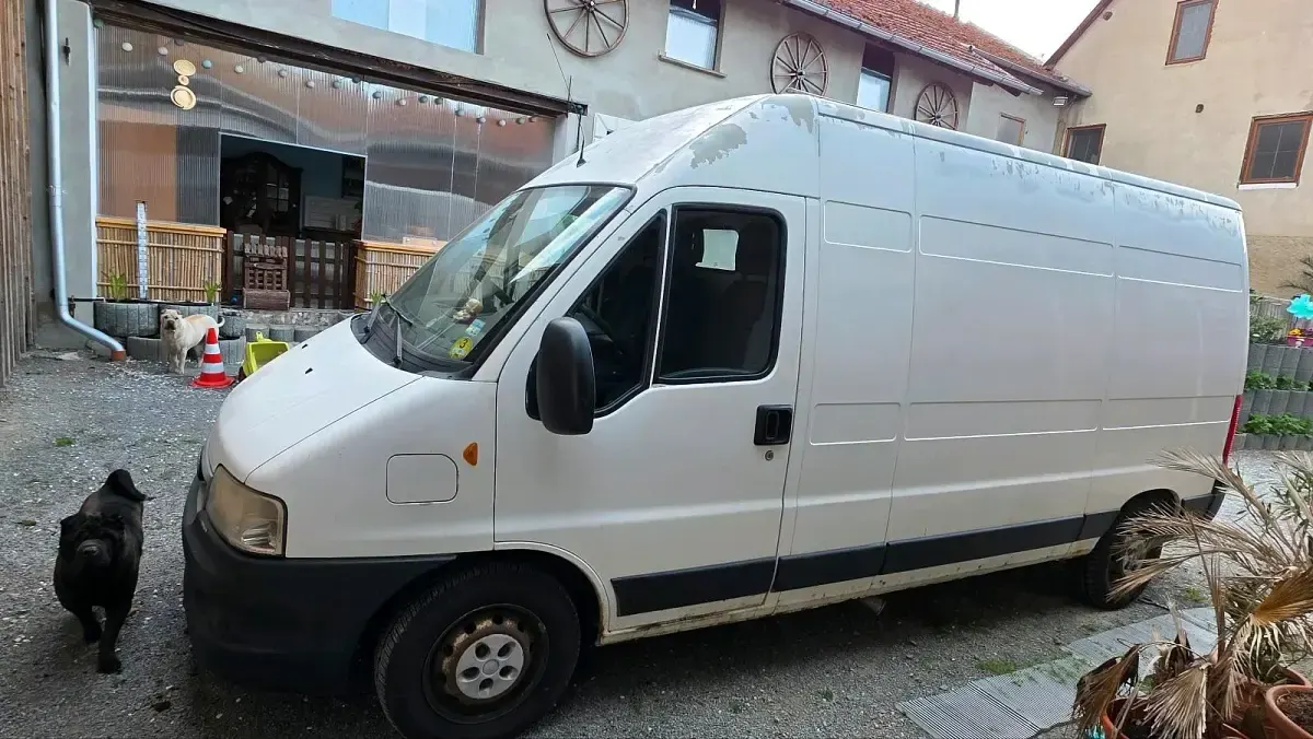 Używany Fiat Ducato 2006 Biały Van
