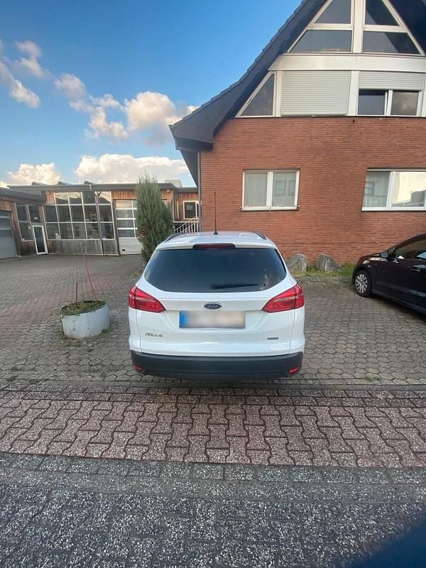Usata Ford Focus 125 CV (91 kW) 2015 Bianco Station wagon