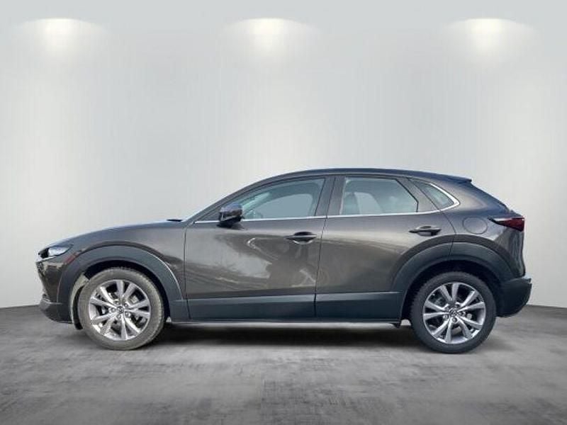 Gebraucht Mazda CX-30 Selection 122 PS (89 kW) 2022 Titanium flash SUV