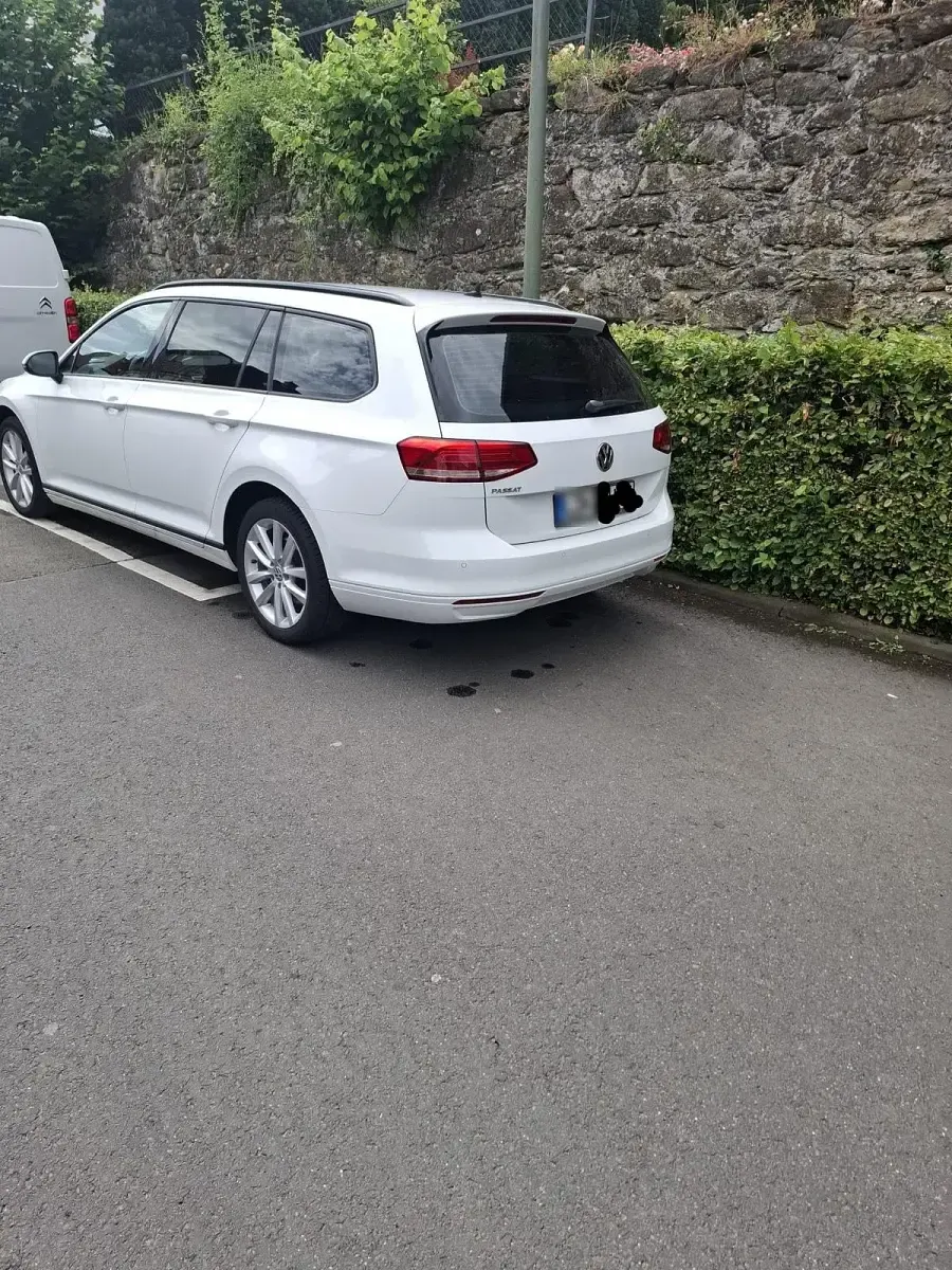 Gebraucht VW Passat 150 PS (110 kW) 2018 Weiß Kombi
