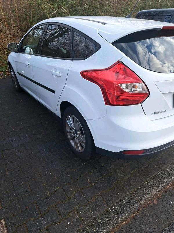 Usata Ford Focus 125 CV (91 kW) 2013 Bianco Berlina
