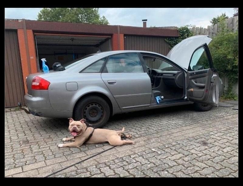 Gebraucht 2002 Audi A6 Limousine | 950 € (Superpreis) - Bild 1/4