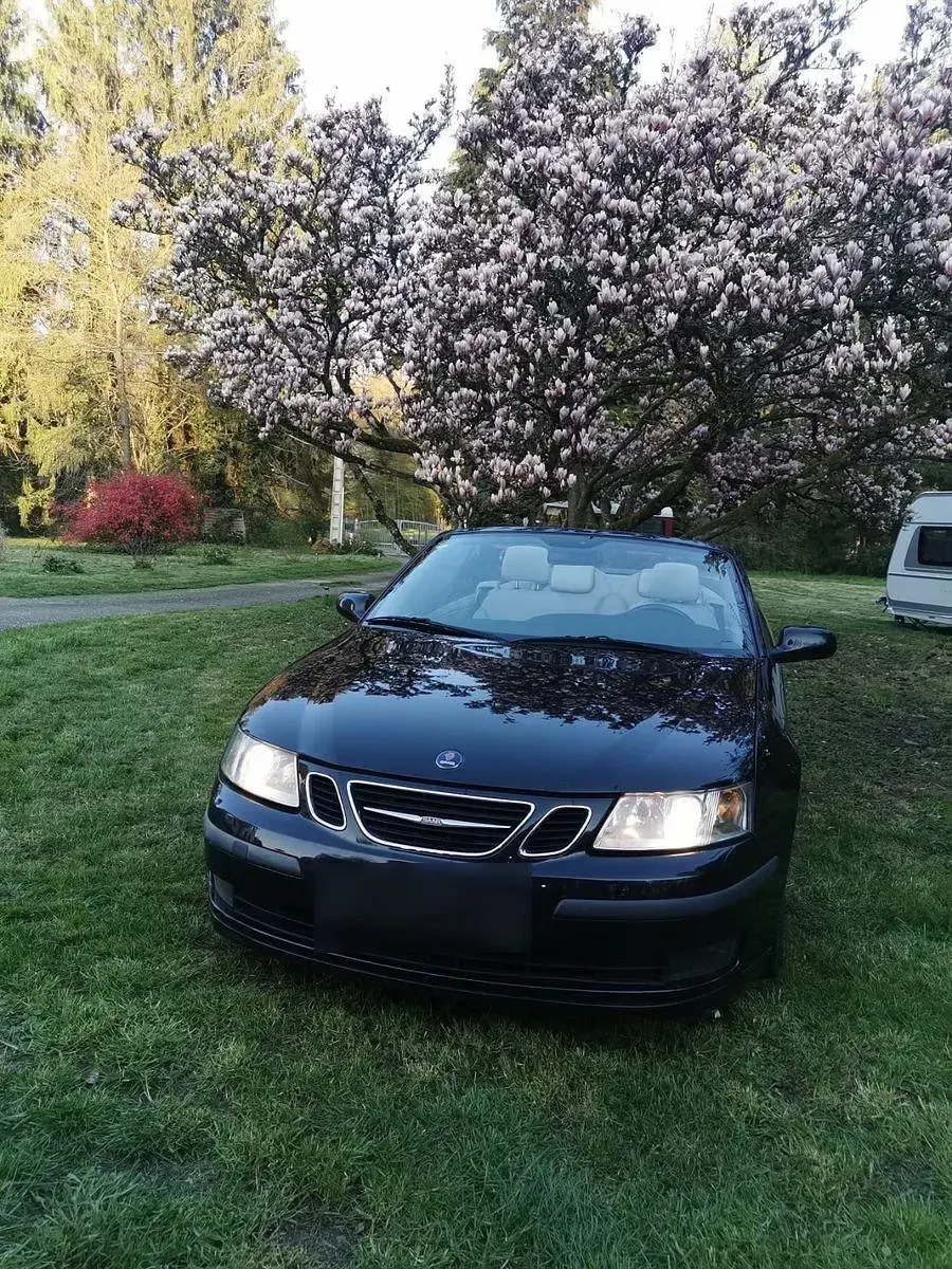 Gebraucht Saab 9-3 Cabriolet Vector 209 PS (153 kW) 2007 Schwarz Cabrio