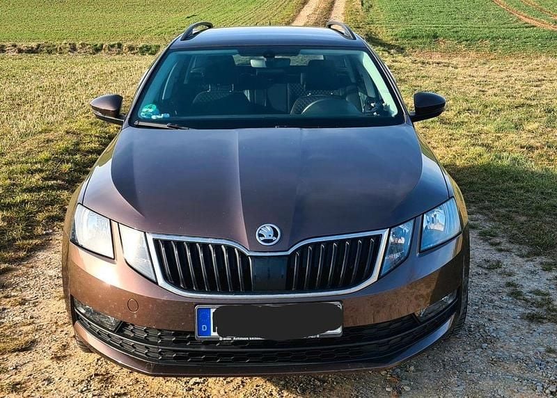 Gebraucht Skoda Octavia Drive 150 PS (110 kW) 2017 Braun Kombi
