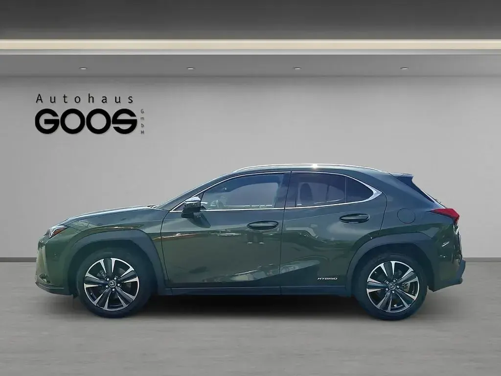 Gebraucht Lexus UX 250h 184 PS (135 kW) 2023 Grün SUV