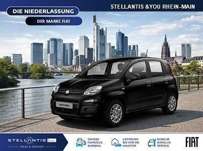 Neu Fiat Panda Icon 65 PS (47 kW) 2026 Rot Kleinwagen