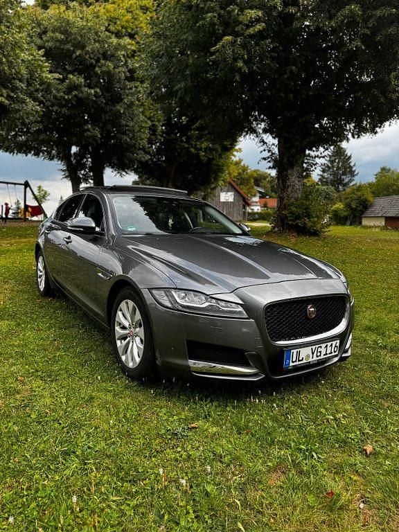 Gebraucht Jaguar XF Portfolio 163 PS (119 kW) 2016 Grau Limousine