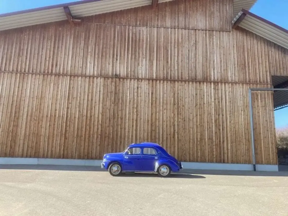 Gebraucht Renault 4CV Luxe 20 PS (14 kW) 1955 Blau Limousine