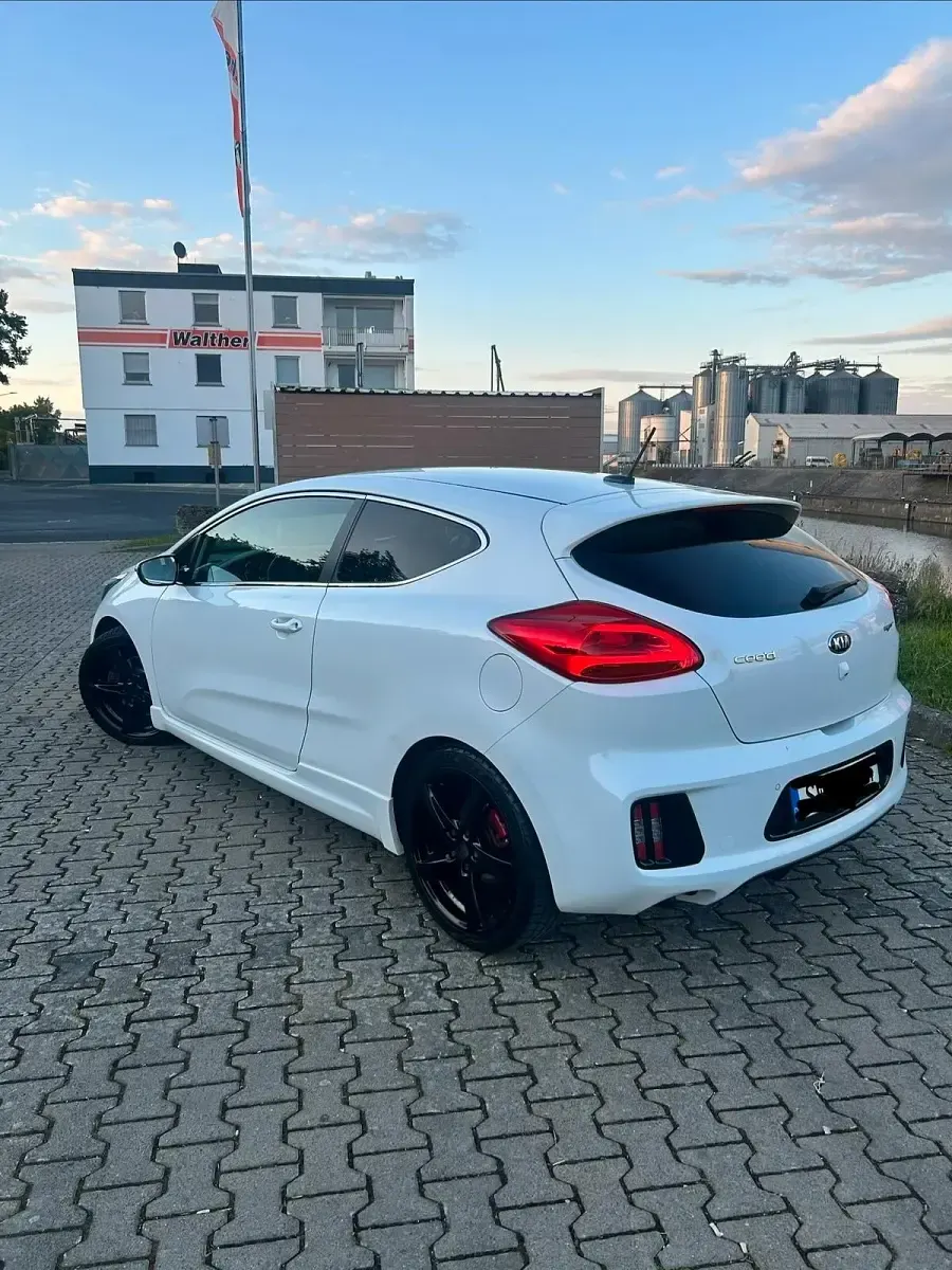 Gebraucht Kia Ceed GT-Track 204 PS (150 kW) 2014 Weiß Kleinwagen
