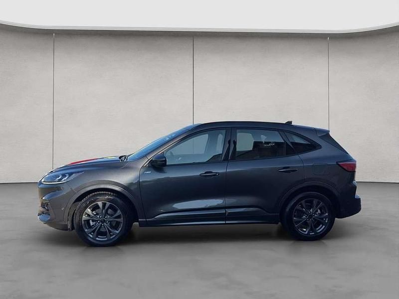 Gebraucht Ford Kuga ST-Line 151 PS (111 kW) 2024 Magnetic grau metallic SUV