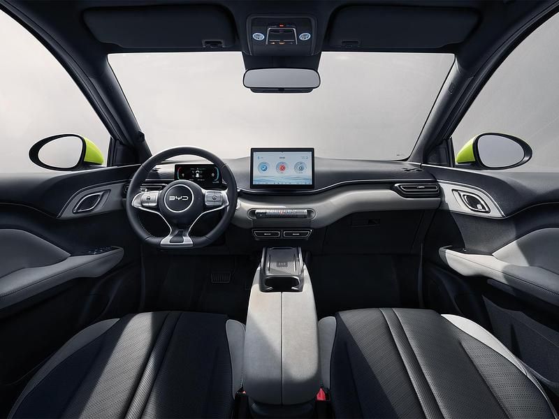 Neu BYD Dolphin Surf Active 64 kW (88 PS) 2026 Kleinwagen