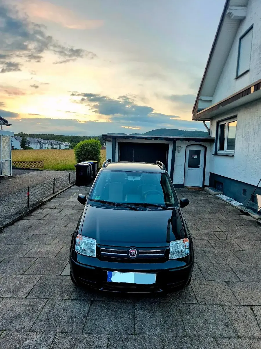 Gebraucht Fiat Panda Dynamic 60 PS (44 kW) 2009 Schwarz Kleinwagen