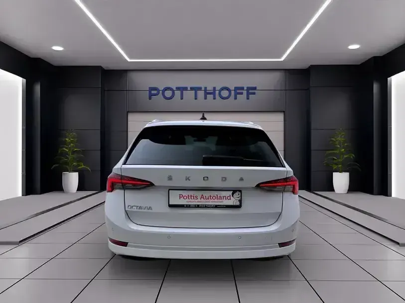 Gebraucht Skoda Octavia Style 116 PS (85 kW) 2023 Candyweiß Kombi