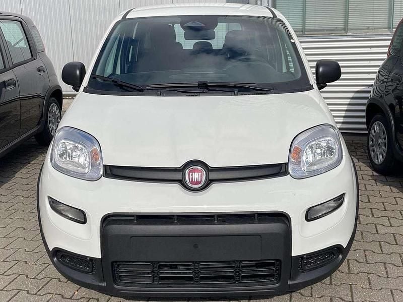 Colore esterno (weiss) Gebraucht 2024 Fiat Panda Kleinwagen | 15.900 € (Etwas zu teuer) - Bild 1/4