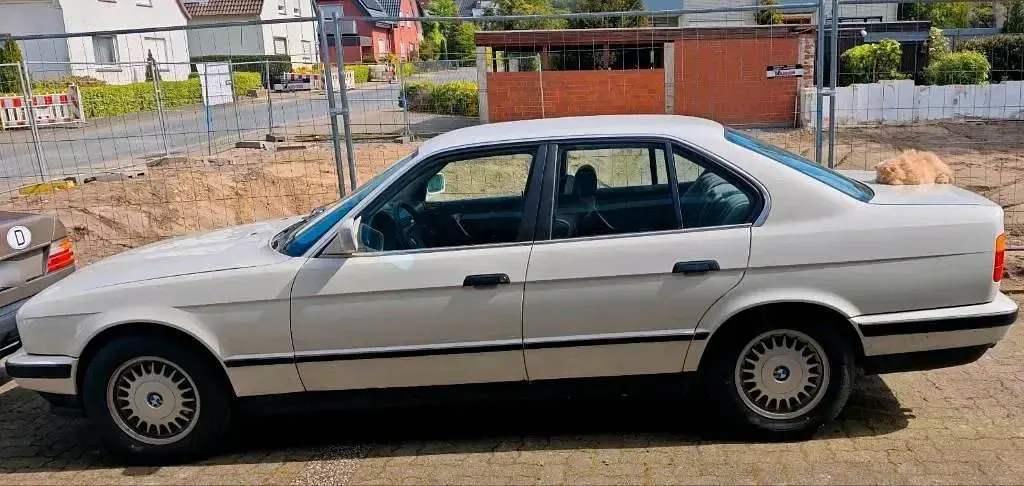 Gebraucht BMW 525 170 PS (125 kW) 1989 Weiß Limousine