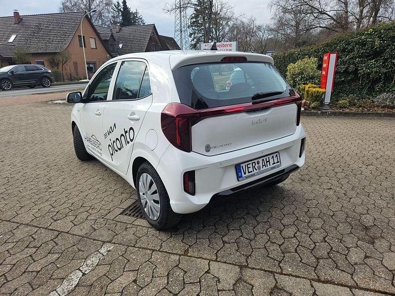 Neu Kia Picanto Vision 63 PS (46 kW) 2025 (ud) schneeweiss Kleinwagen