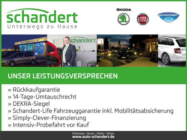 Gebraucht Skoda Citigo Monte Carlo 75 PS (55 kW) 2014 Schwarz metallic Kleinwagen