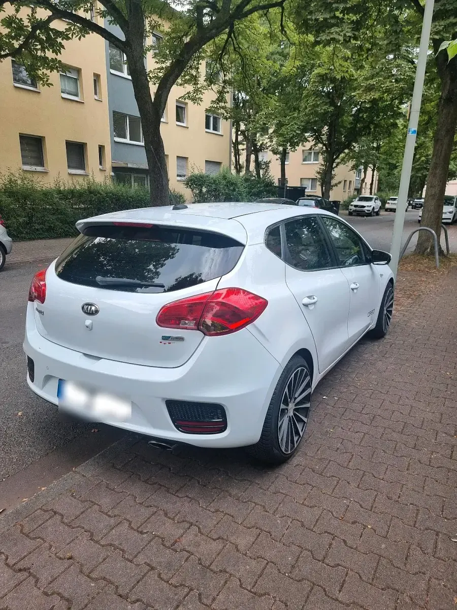 Gebraucht Kia Ceed 136 PS (100 kW) 2016 Weiß Kleinwagen
