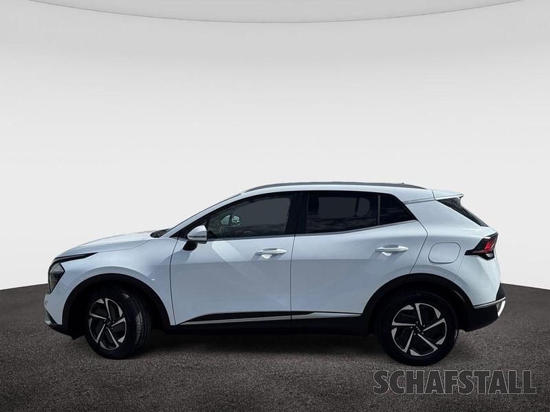 Gebraucht Kia Sportage Comfort 150 PS (110 kW) 2023 Weiss (carraraweiss) SUV
