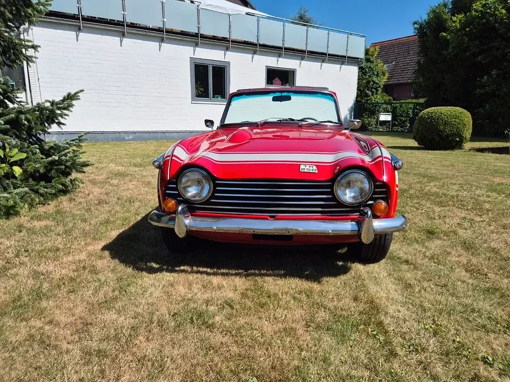 Gebraucht Triumph TR 250 105 PS (77 kW) 1967 Rot Cabrio