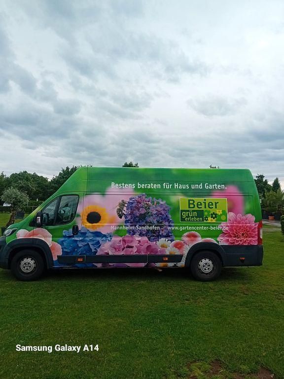 Gebraucht 2018 Peugeot Boxer Van | 11.000 € (Superpreis) - Bild 1/4