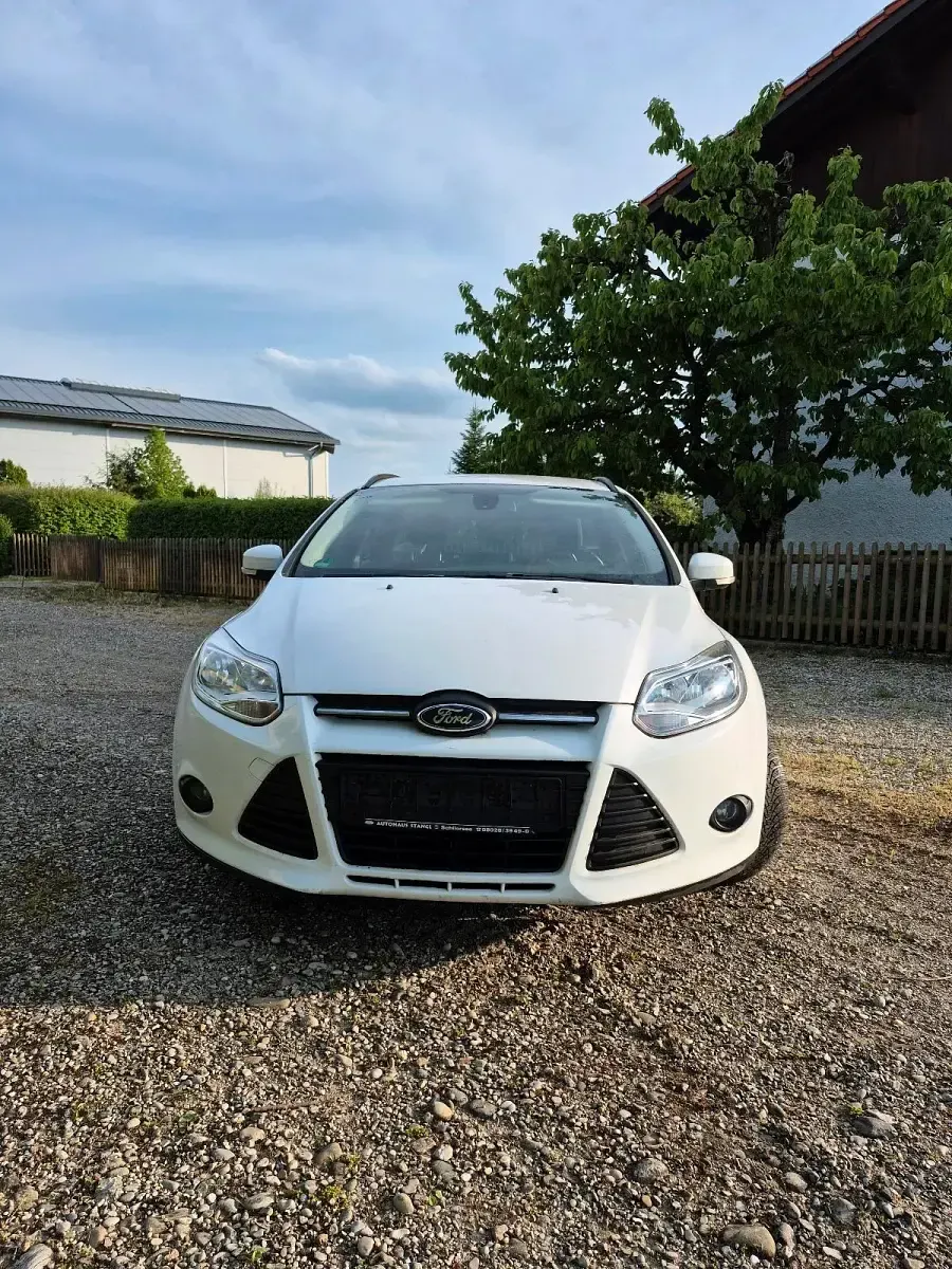 Usata Ford Focus 2014 Bianco Station wagon