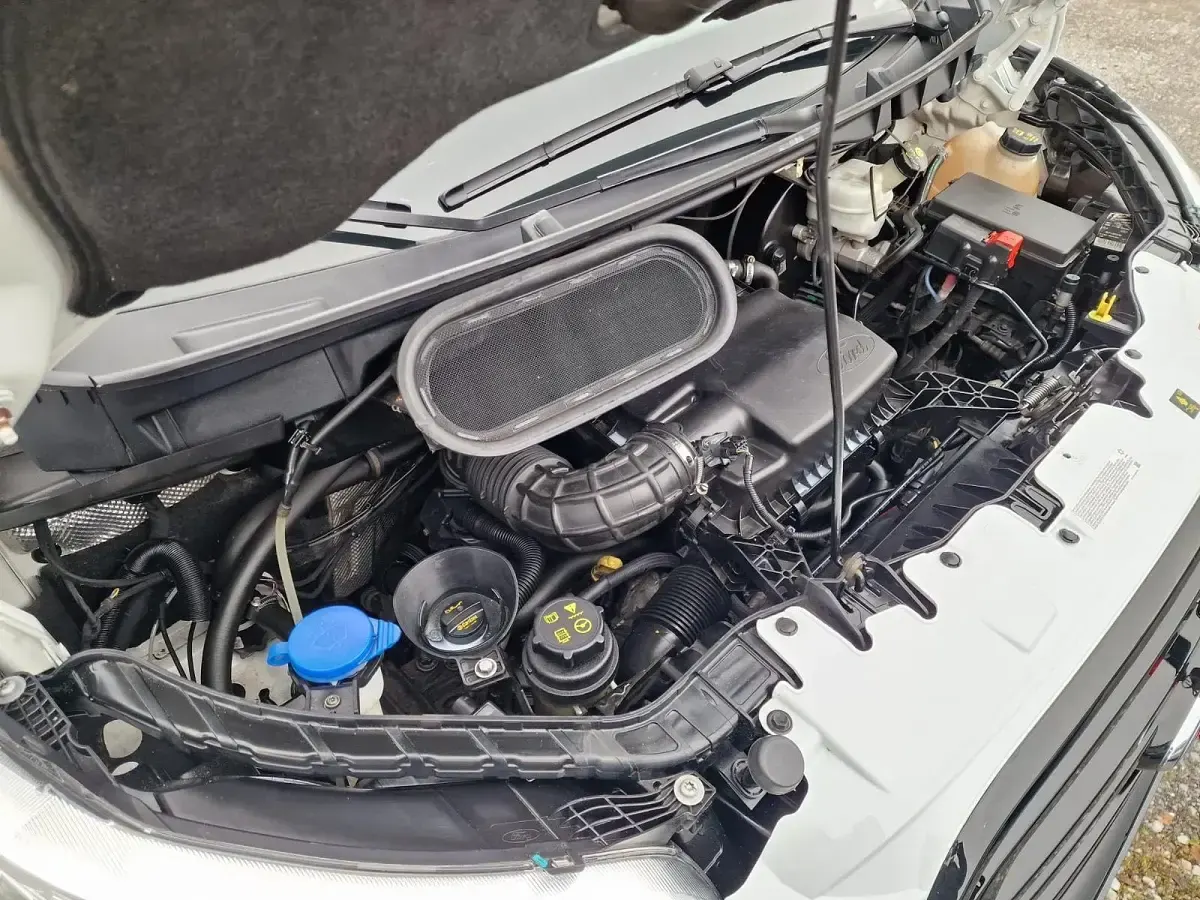 Gebraucht Ford Transit Trend 170 PS (125 kW) 2018 Weiß Van / Kleinbus