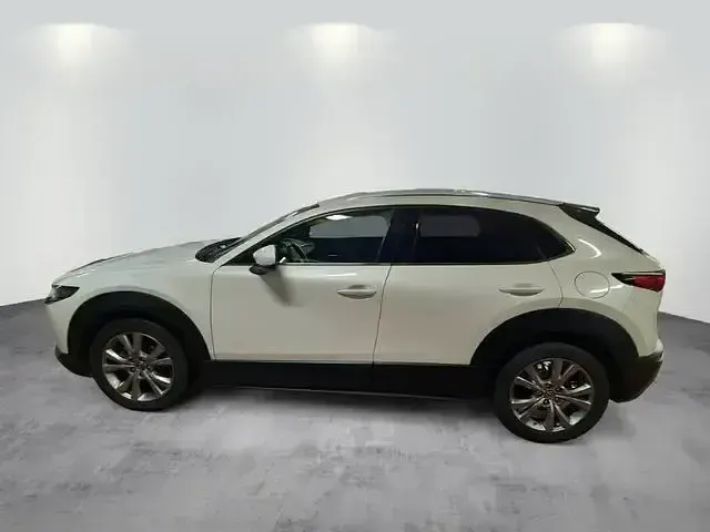 Gebraucht Mazda CX-30 Selection 122 PS (89 kW) 2020 Weiß SUV