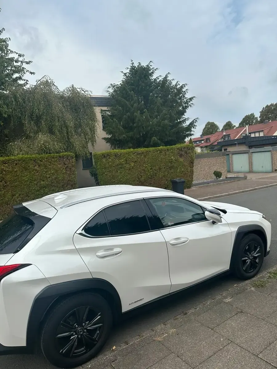 Gebraucht Lexus UX 152 PS (111 kW) 2020 Weiß SUV