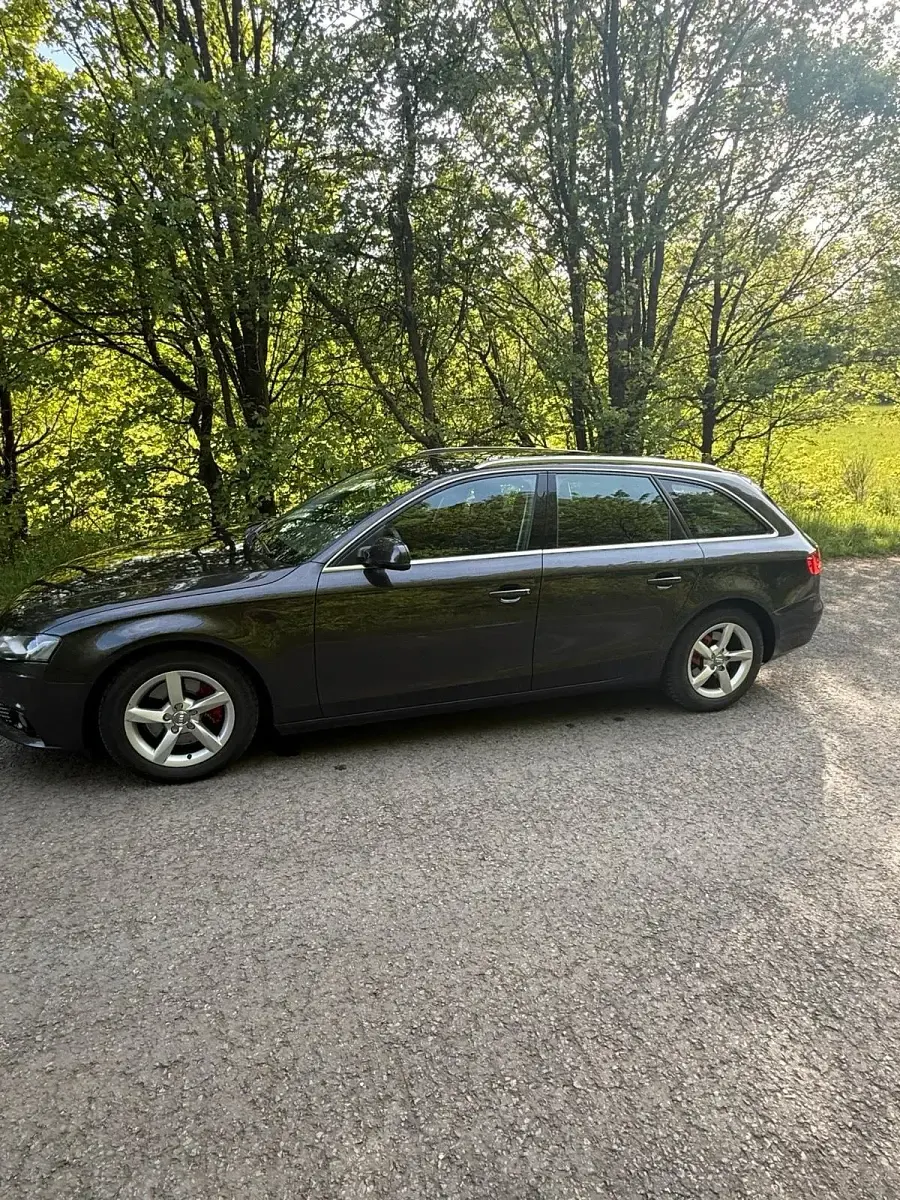 Occasion Audi A4 160 ch (117 kW) 2011 Andere farben Break