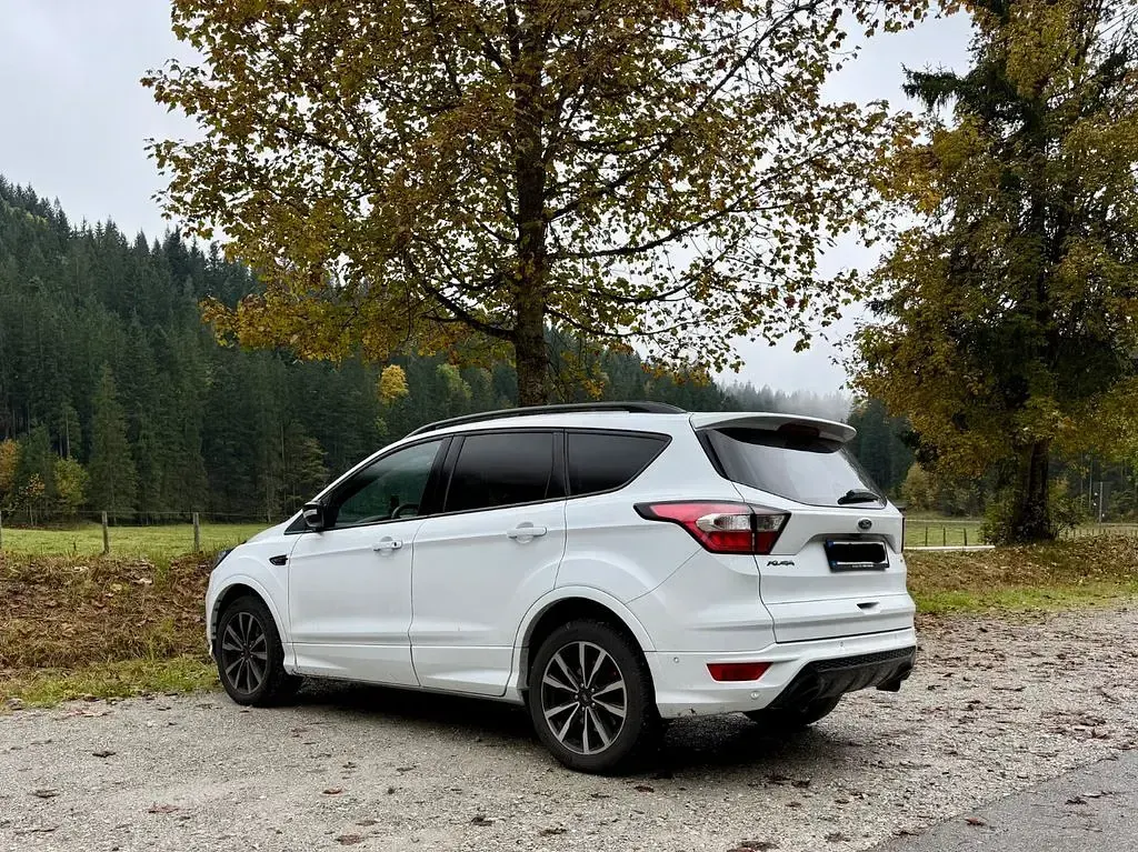 Gebraucht Ford Kuga ST-Line 179 PS (131 kW) 2020 Weiß SUV