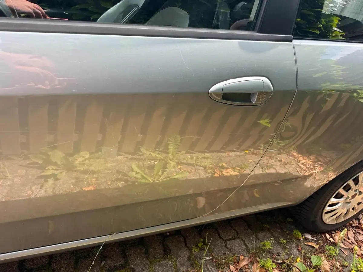 Gebraucht Fiat Punto 2009 Grau Kleinwagen