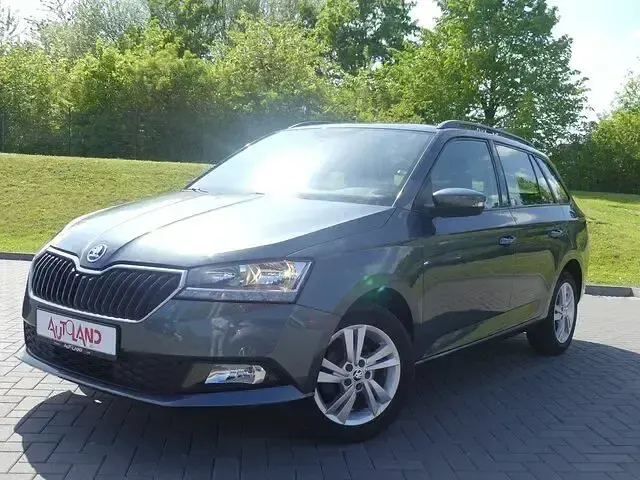 Gebraucht Skoda Fabia 95 PS (69 kW) 2019 Grau Kleinwagen