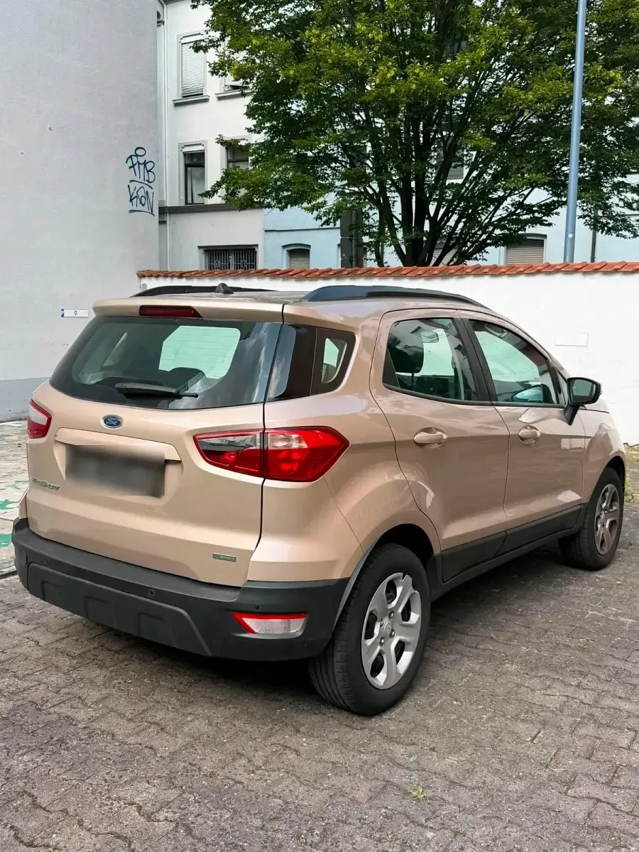 Gebraucht Ford Ecosport 125 PS (91 kW) 2018 Beige SUV