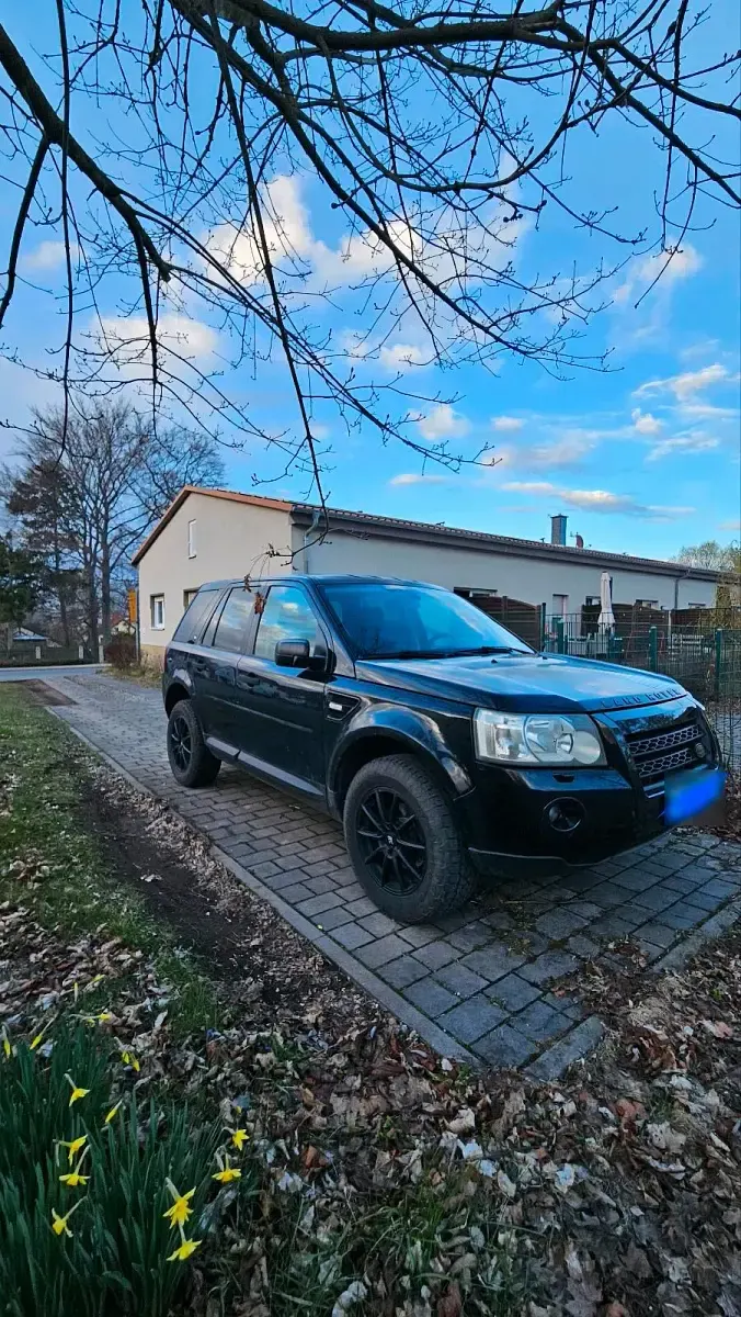 Gebraucht Land Rover Freelander 2 163 PS (119 kW) 2009 Schwarz SUV