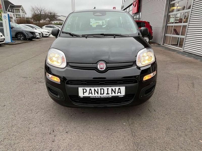 Neu Fiat Panda Icon 65 PS (47 kW) 2026 Rot Kleinwagen