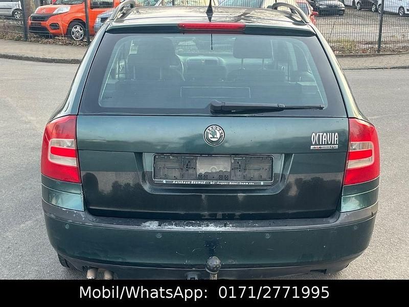 Gebraucht Skoda Octavia Ambiente 105 PS (77 kW) 2007 Grün Kombi