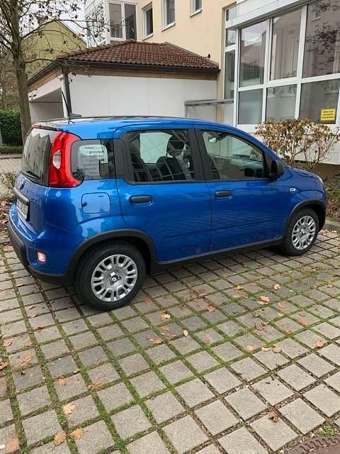 Fiat Panda Gebraucht Privat
