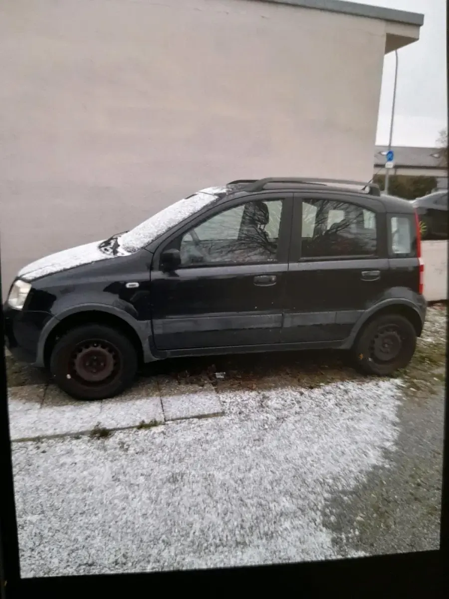 Gebraucht Fiat Panda Climbing 60 PS (44 kW) 2005 Schwarz Kleinwagen
