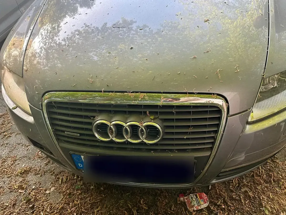 Second-hand Audi A6 180 CP (132 kW) 2006 Gri Break