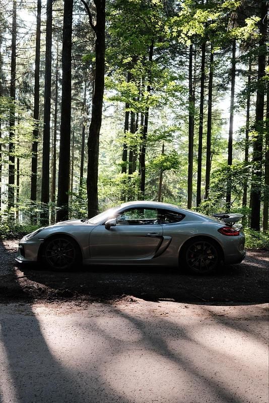 Silber Gebraucht 2016 Porsche Cayman GT4 Coupé | 98.981 € (Teuer) - Bild 1/4