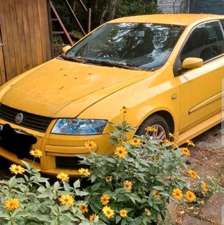 Gelb Gebraucht 2003 Fiat Stilo Abarth Kleinwagen | 2.000 € (Etwas zu teuer) - Bild 1/3