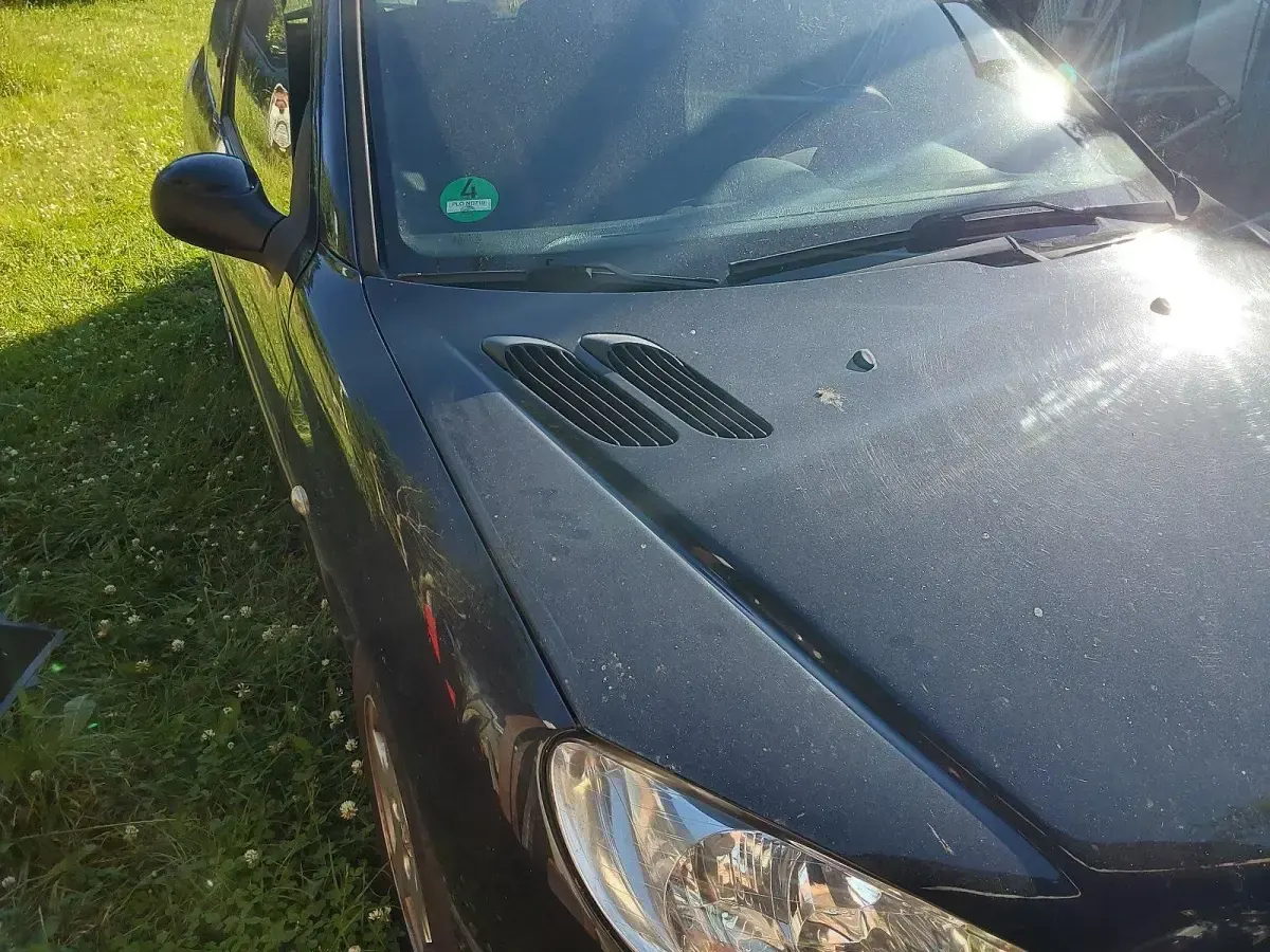 Gebraucht Peugeot 206 75 PS (55 kW) 2007 Schwarz Kleinwagen